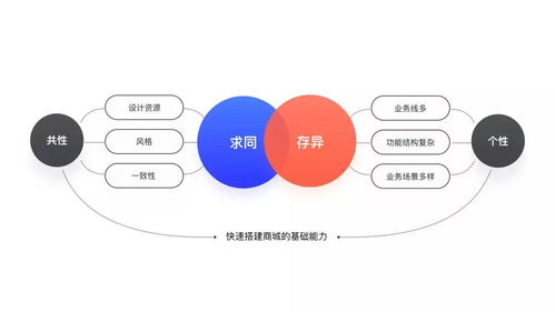 设计沉思录 | 58商城项目总结 我的野蛮设计观与项目策划公关服务