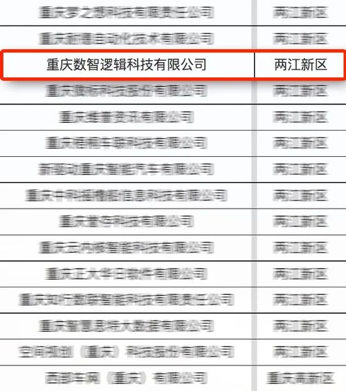 亚信科技数智逻辑荣膺重庆“满天星”示范企业，以专业策划与公关服务赋能产业跃升