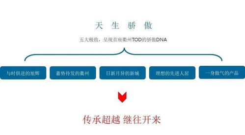 旭辉衢州万达东项目策略提报 多维整合策划与精准公关服务