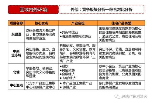 策划 天津东疆港住宅项目前期策划定位148p